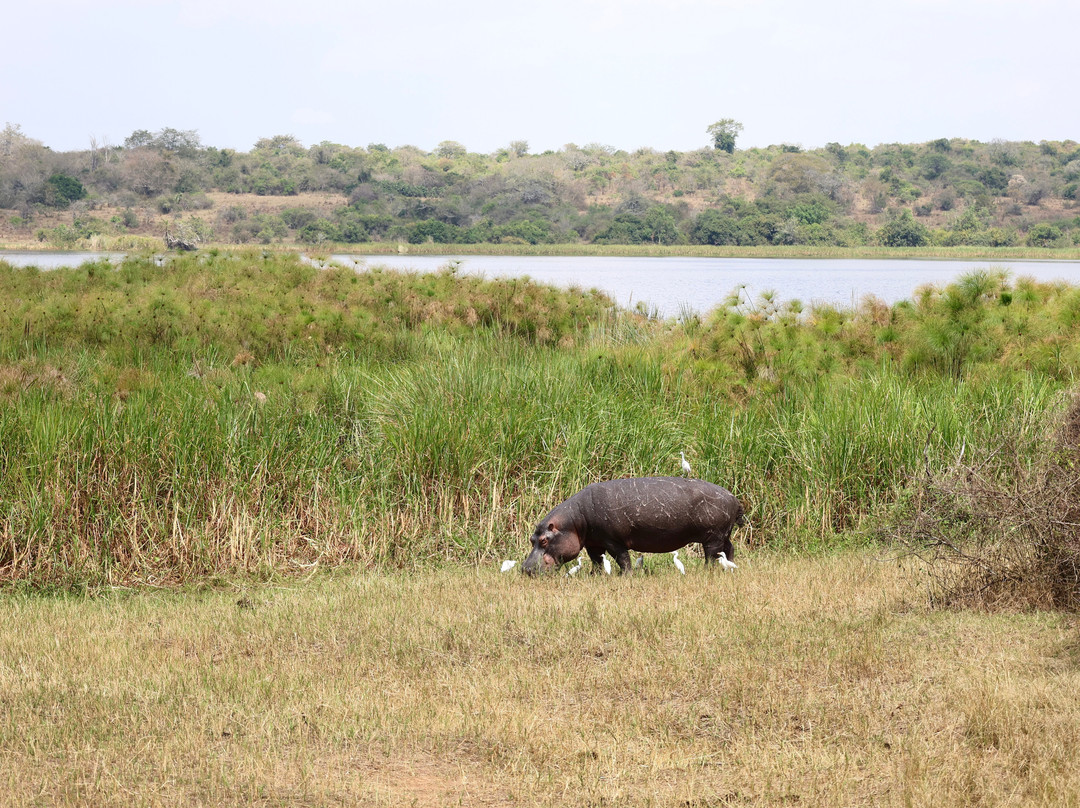 Africa 4 Corner Safari-吉佳利必去景点