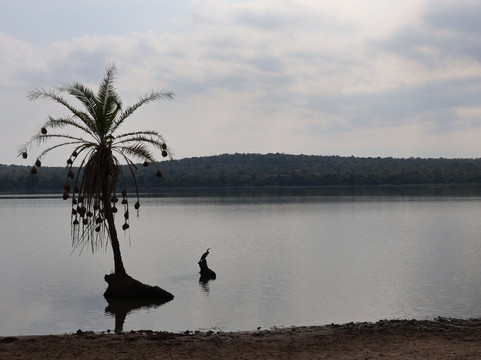 Africa 4 Corner Safari-吉佳利必去景点