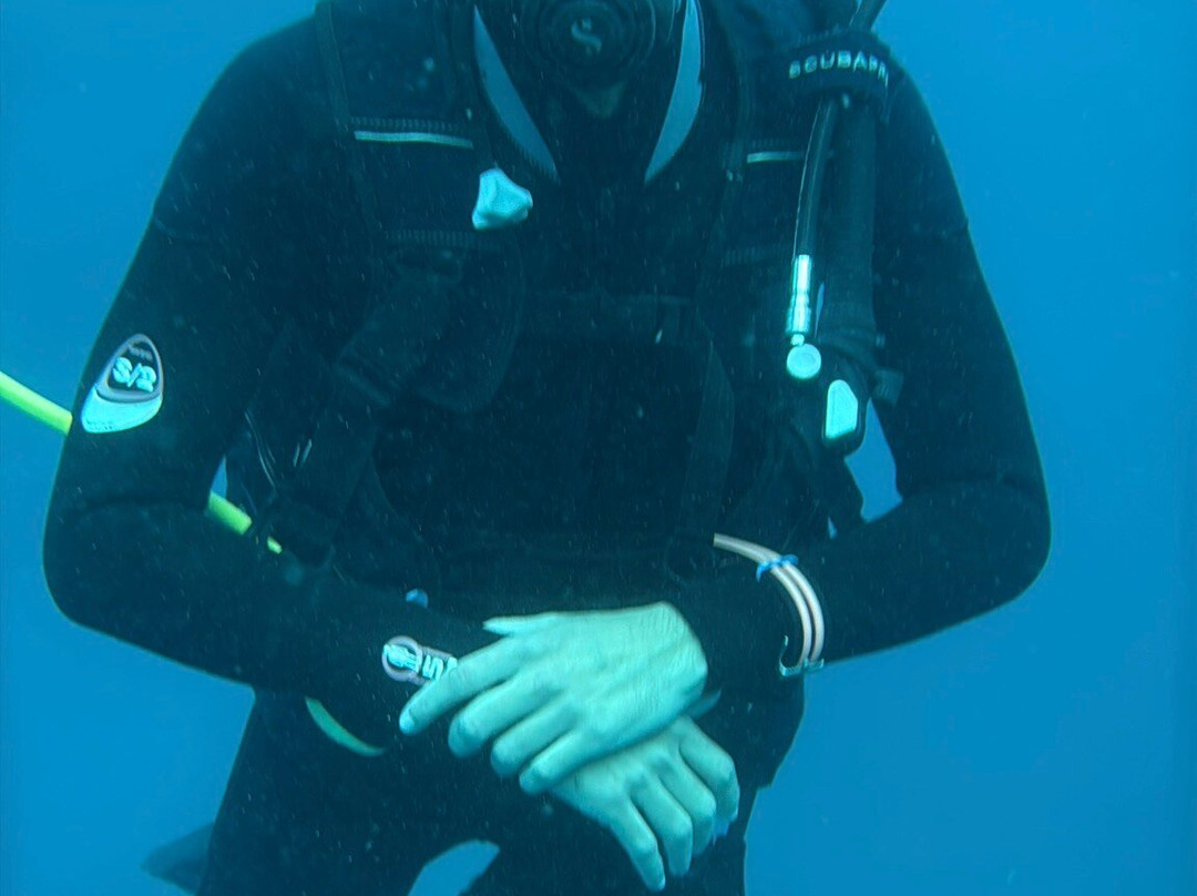Tamarin OceanPro Divingcenter-塔玛琳必去景点