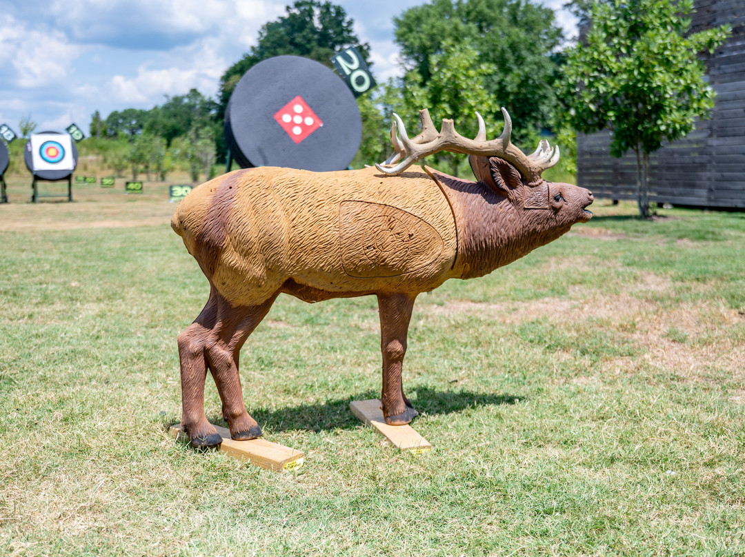 The Quiver Archery Range-本顿维尔必去景点