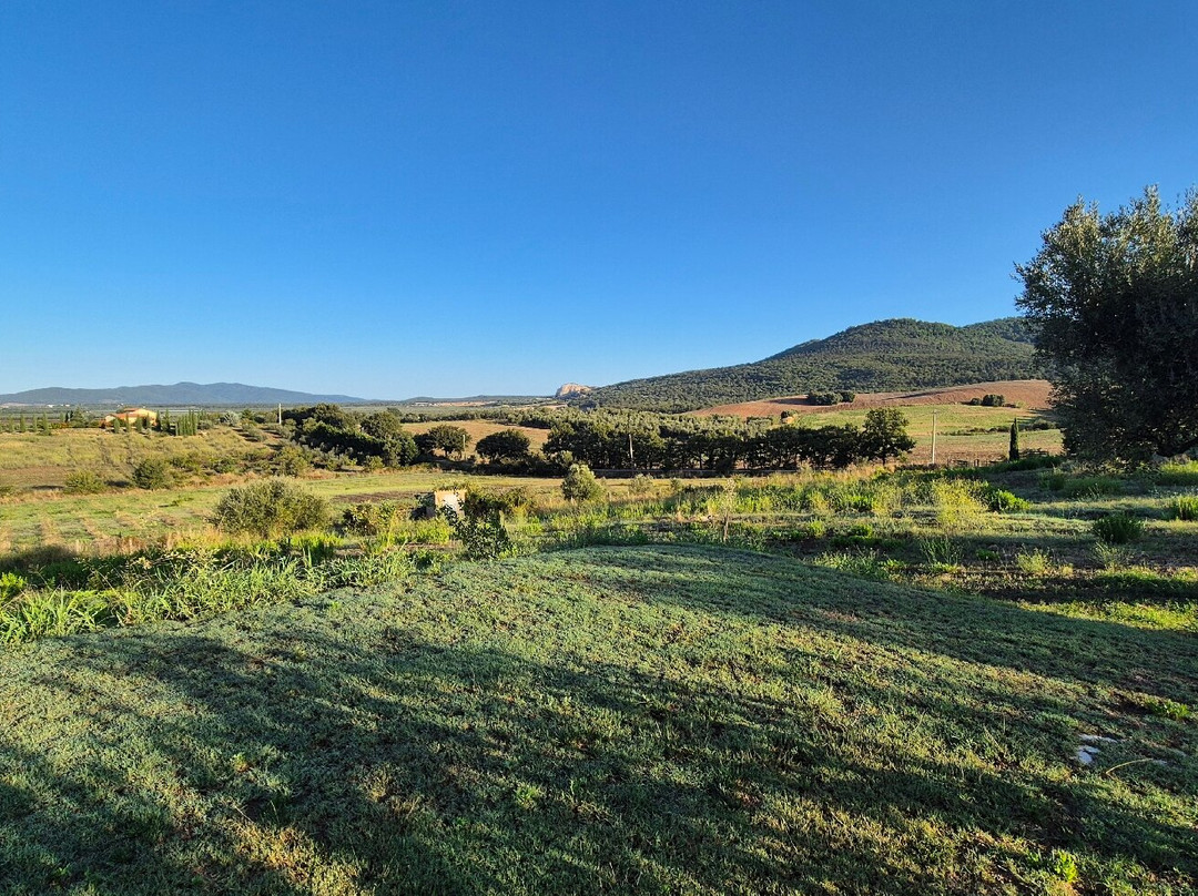 Il Poggio di Musignano
