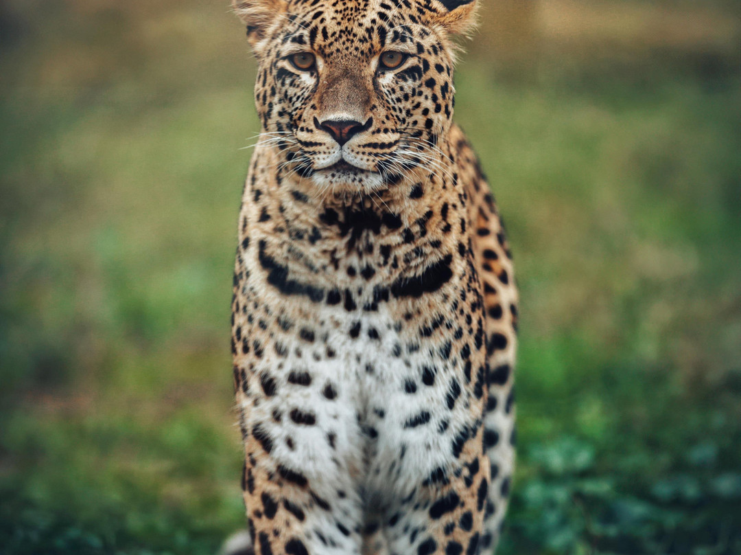 Desert Day at the Jack Joseph and Morton Mandel Zoo-贝尔谢巴必去景点