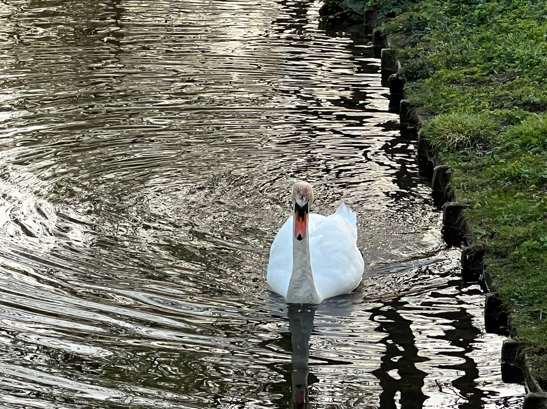 Französischer Garten-策勒县必去景点