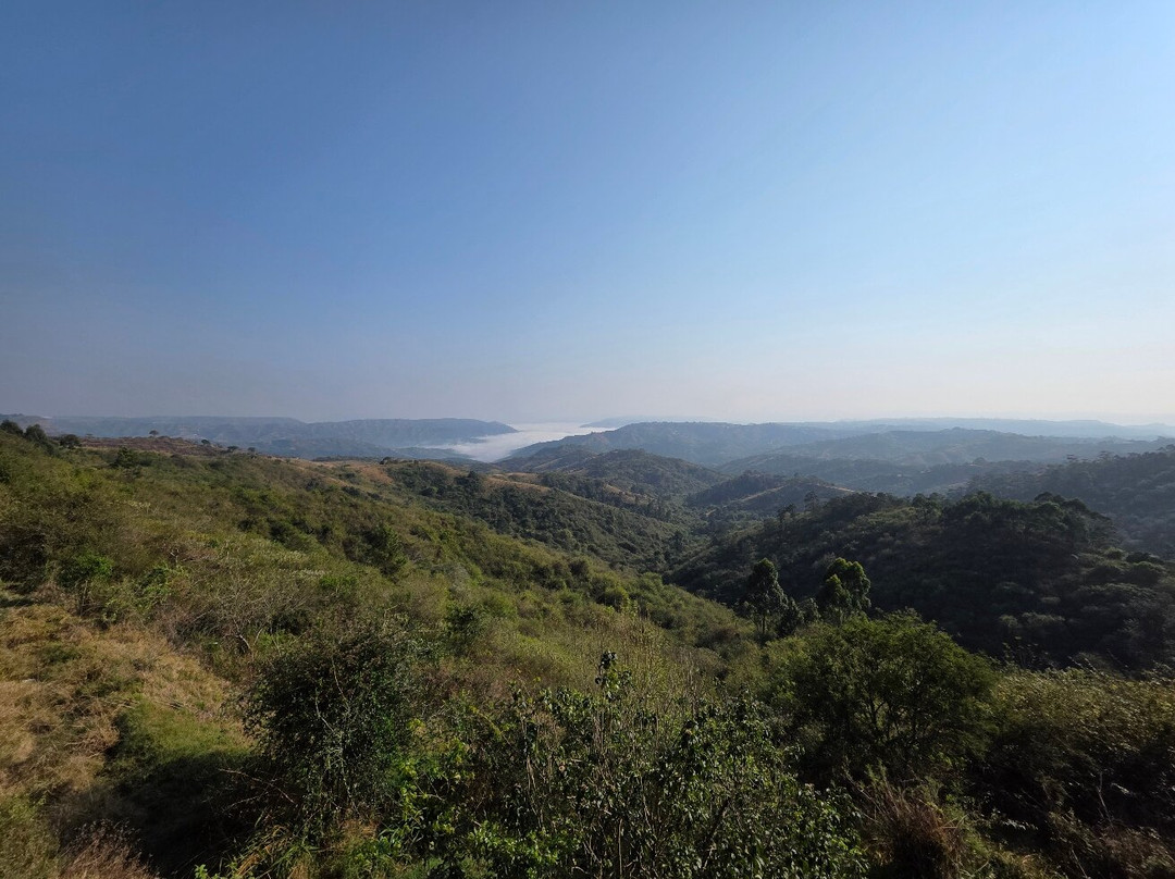 Phezulu Safari Park-德班必去景点