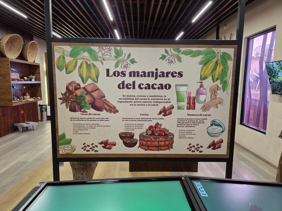 Casa Universitaria Cacao y Chocolate