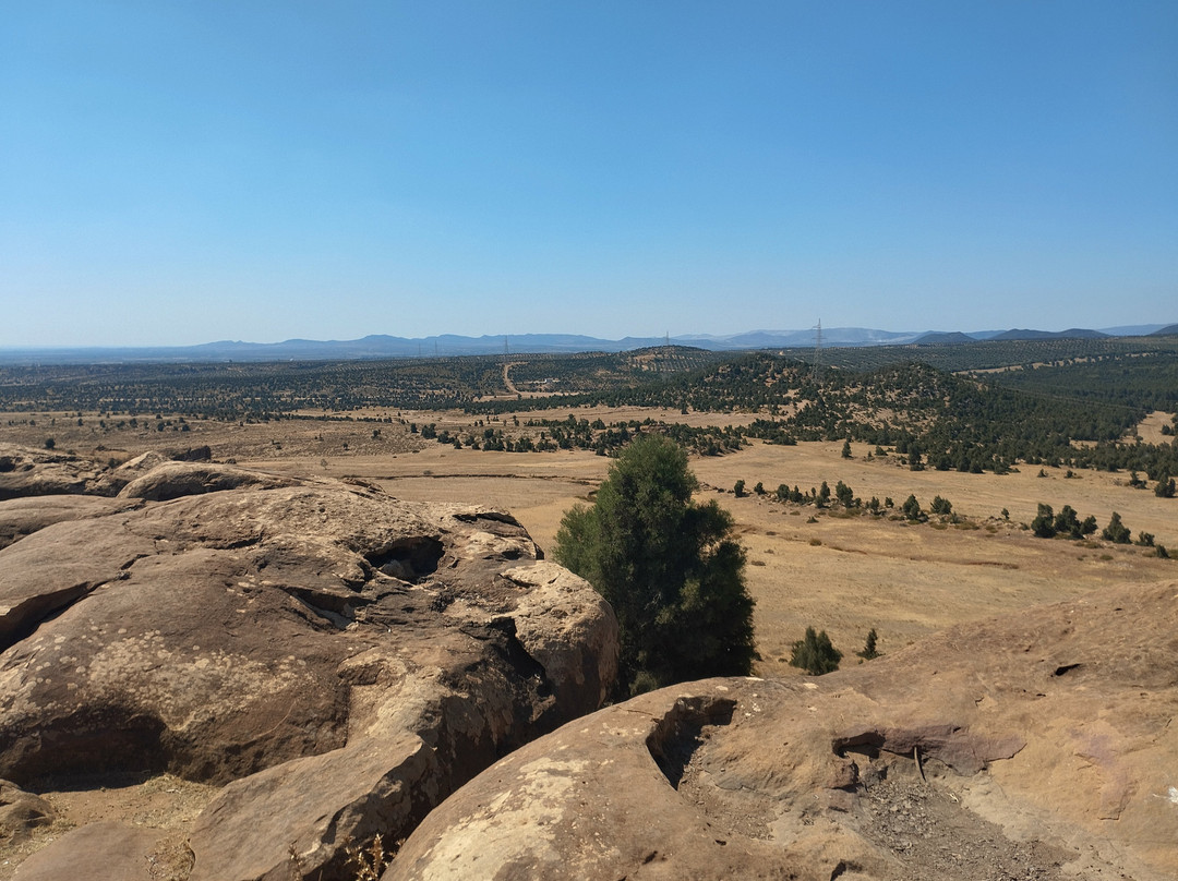 Salma Evasion Quad Hammamet-哈玛麦德必去景点