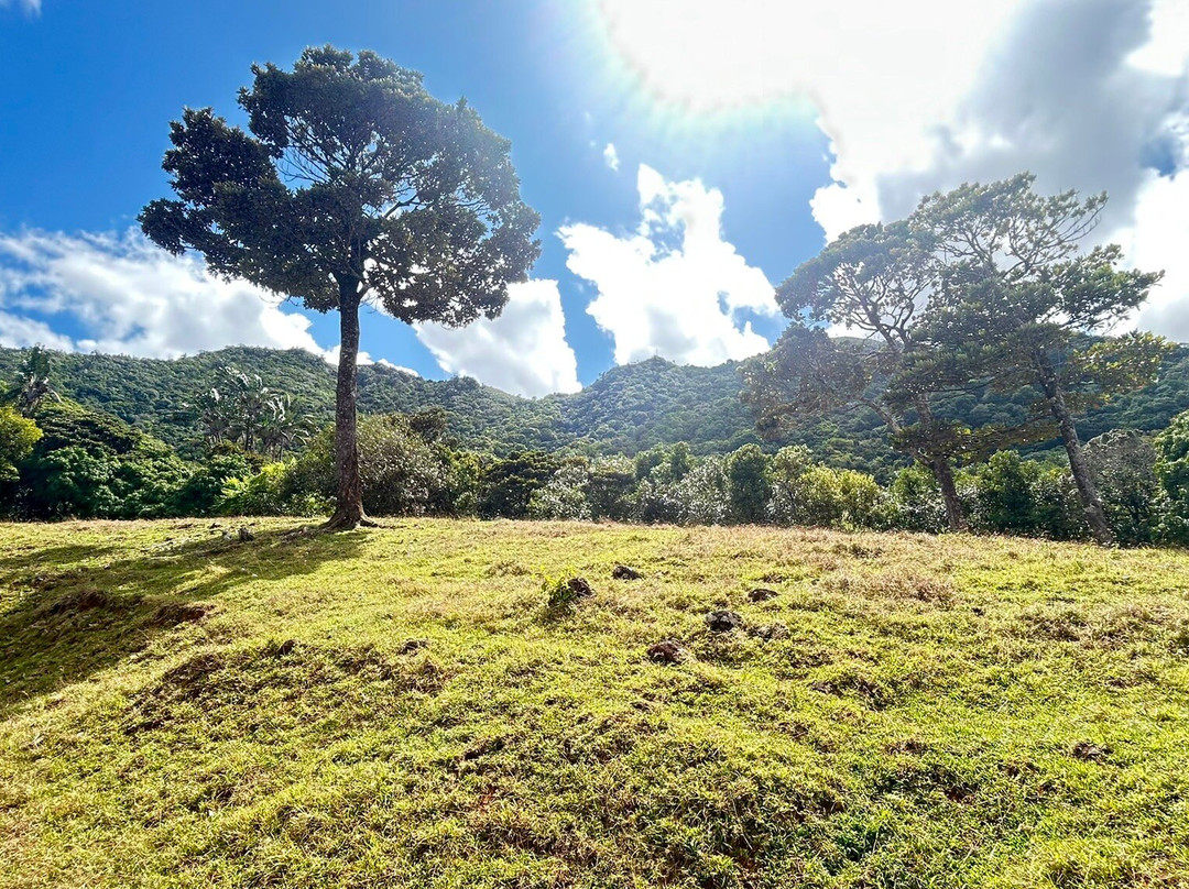 La Vallée de Ferney-马喜埔必去景点