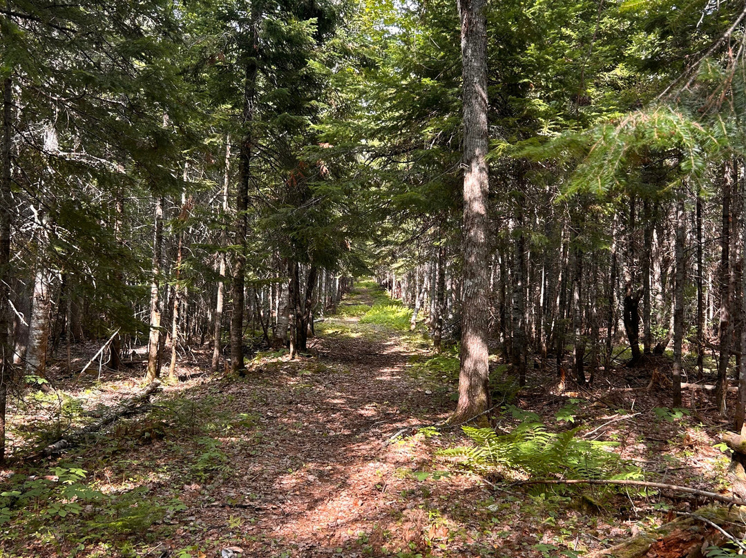 Beaubears Island Interpretive Centre-Miramichi必去景点
