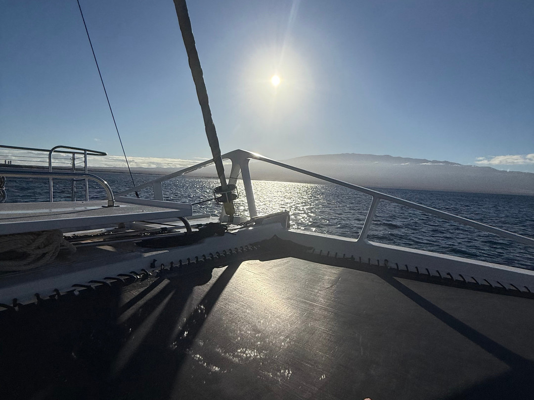 Sail Maui Private Tour-玛阿拉也亚必去景点