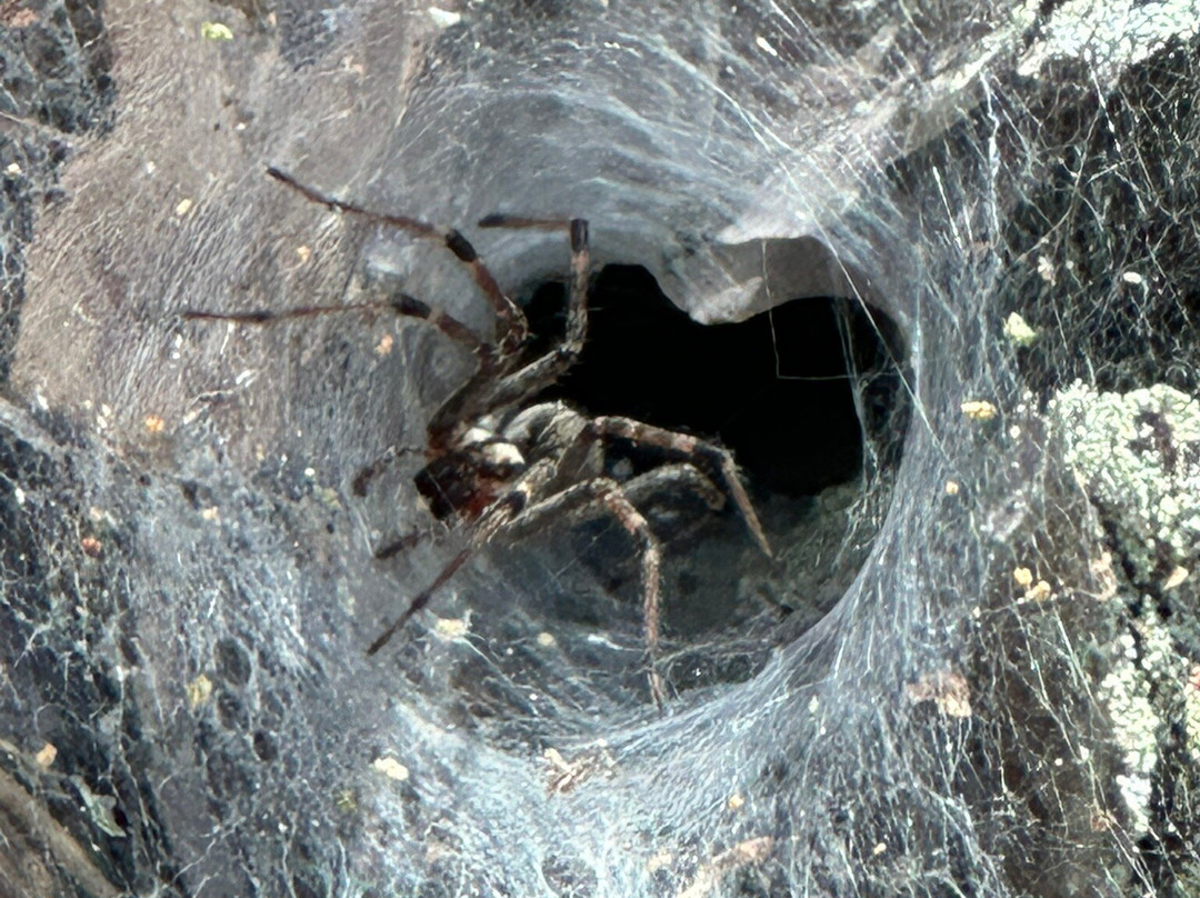 Atsion Lake-Shamong必去景点