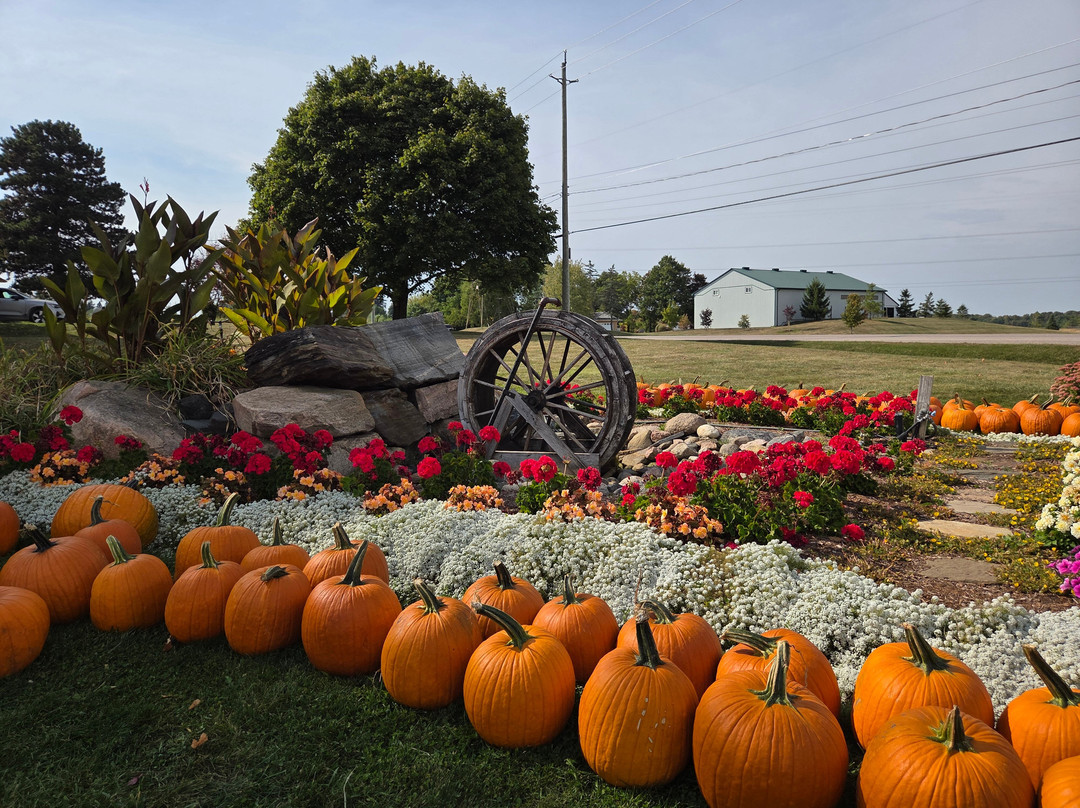 Herrle's Country Farm Market