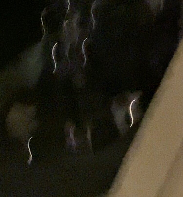 Matthew's Haunted Pub Crawl-加利纳必去景点