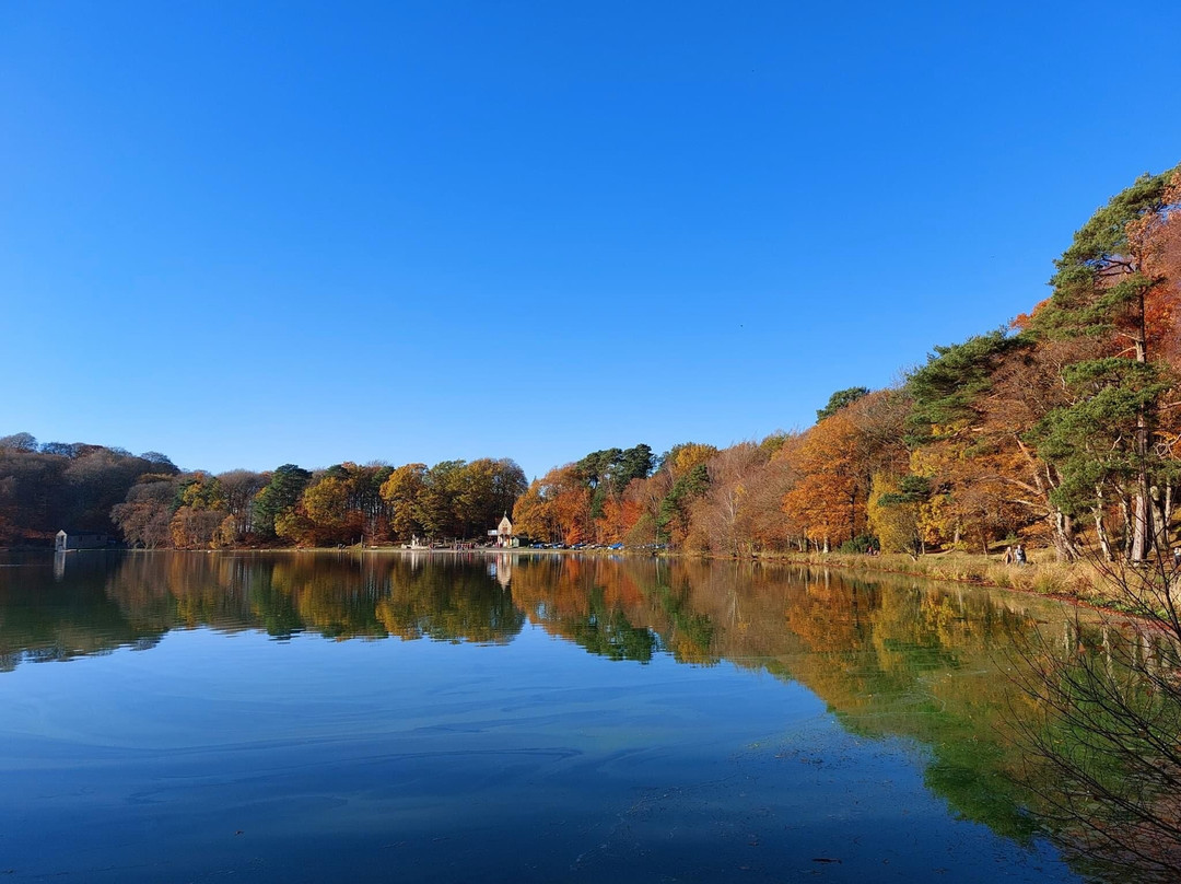 The Scotch Arms Mews主图