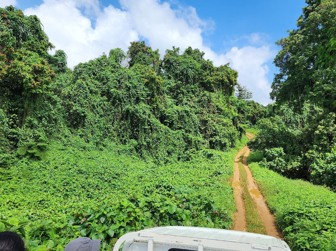 Santo Heritage Tours-卢甘维尔必去景点