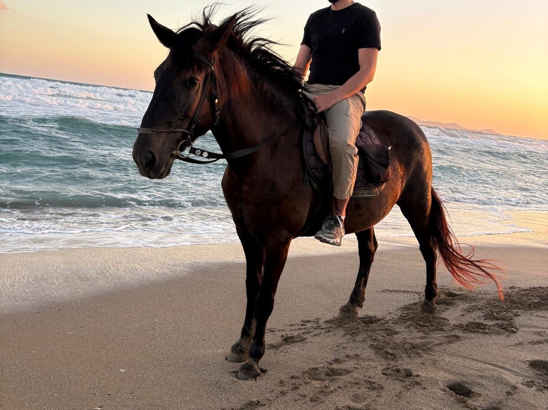 Hersonissos Horseriding-Finikia必去景点