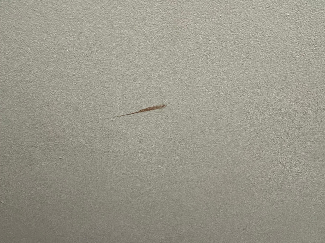 圣乔治酒店主图