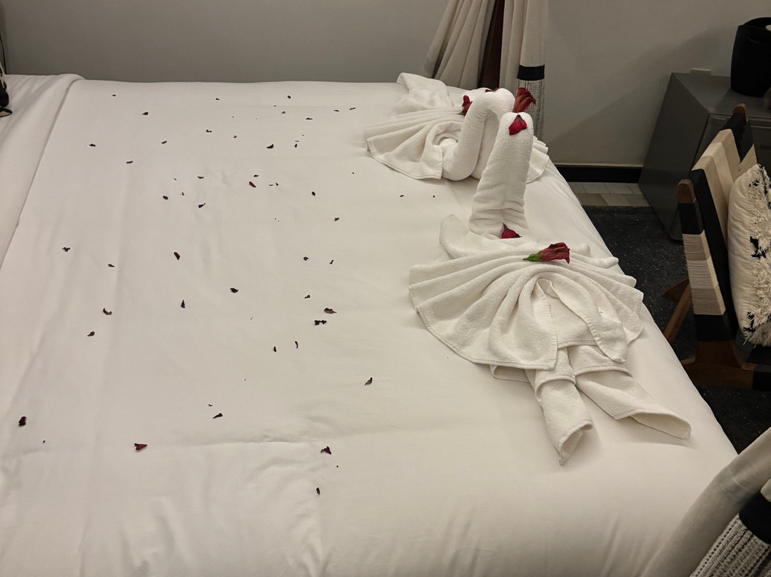 KBC Kitesurf & Wingfoil-达赫拉必去景点