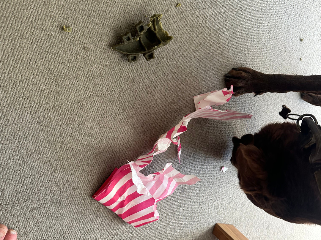 Portreath Arms主图