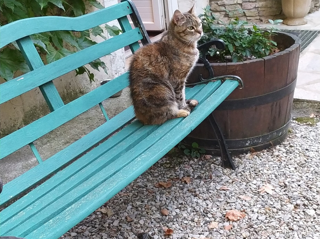 Auberge Cocagne主图