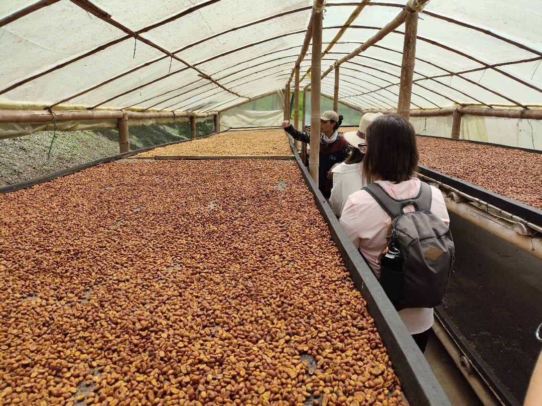 Ocaso Cafe Tour-萨伦托必去景点