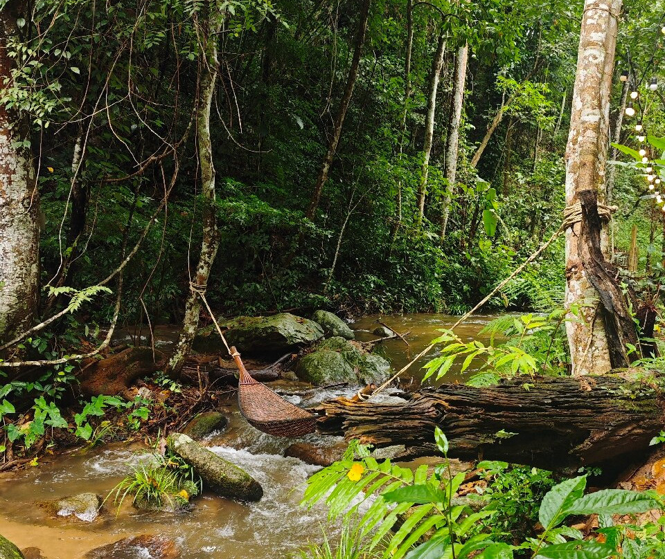 Champion Private Tours Chiang Mai-San Phi Suea必去景点
