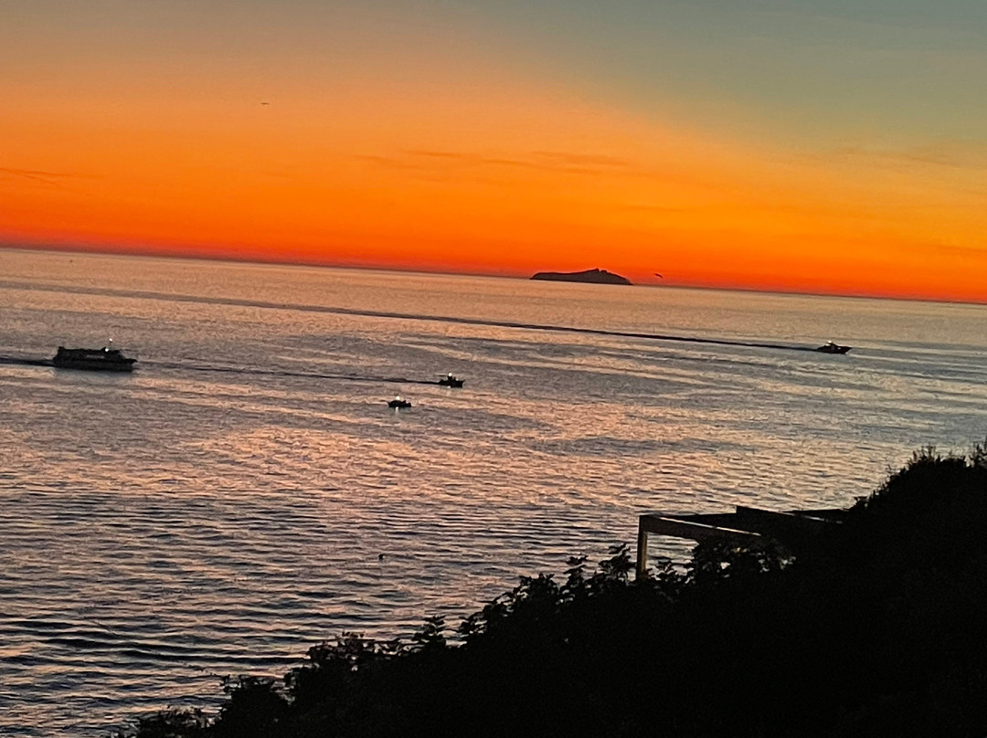 TrulyCroatia Tours-扎达尔必去景点