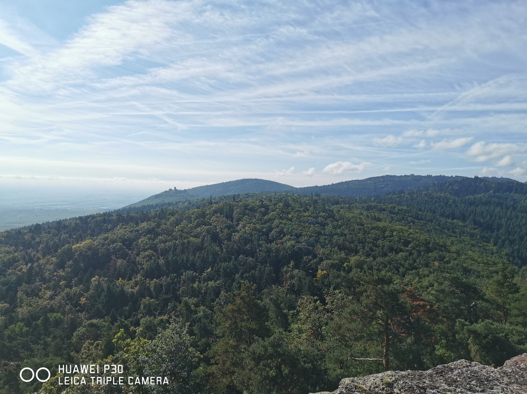 Château du Hohlandsbourg-Wintzenheim必去景点