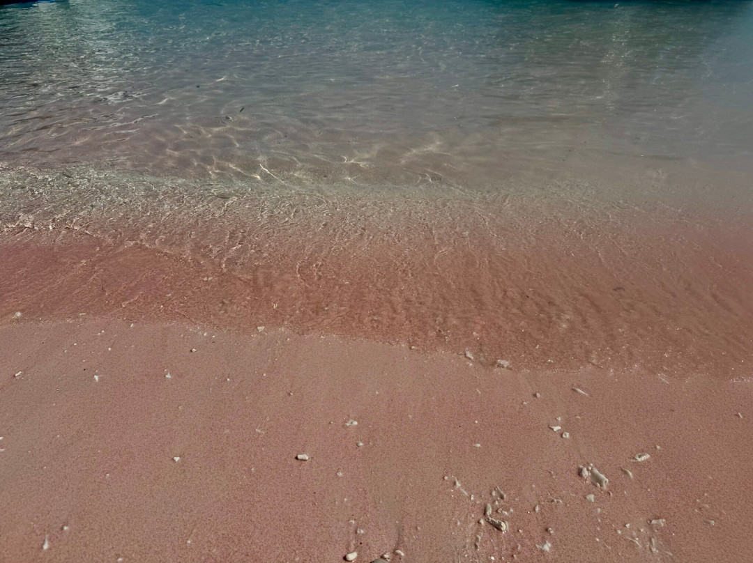 Exotic Komodo Tours-Labuan Bajo必去景点