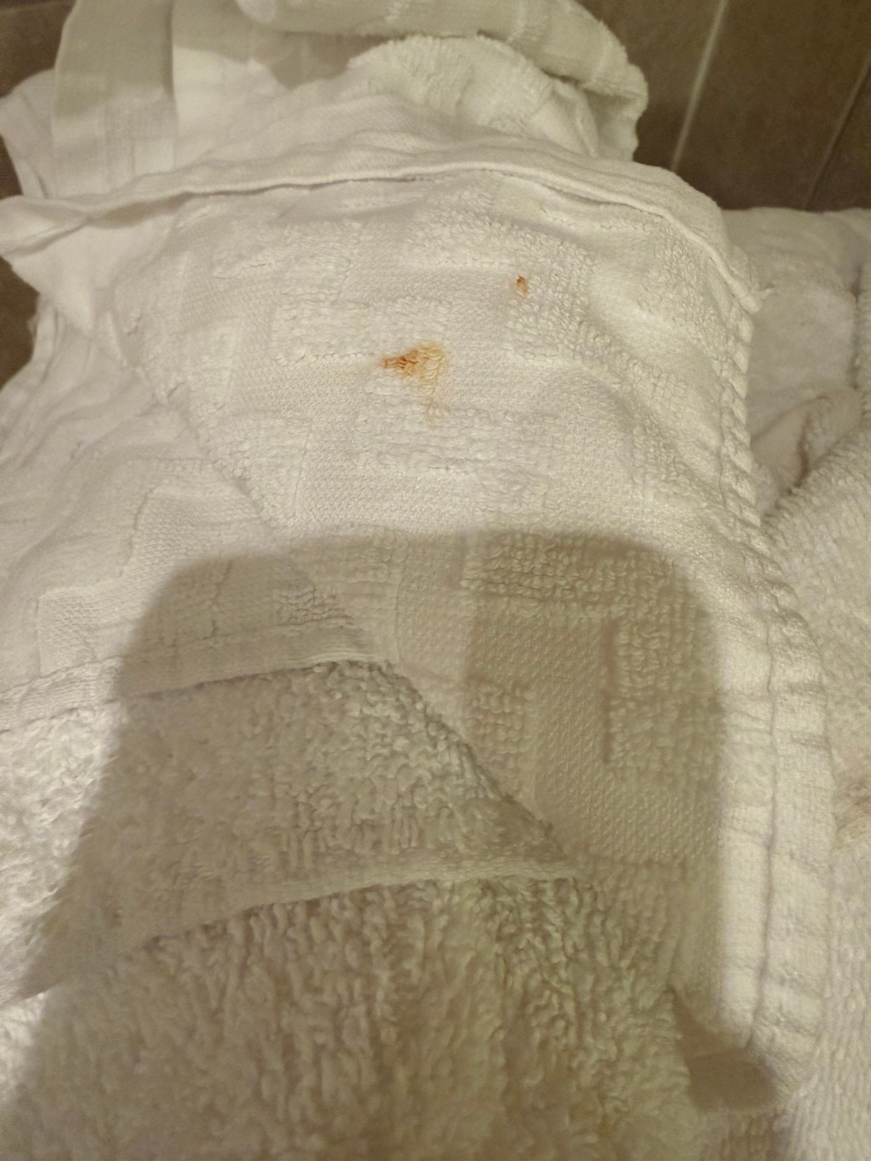 贝斯特韦斯特纽瓦克机场西酒店-官方