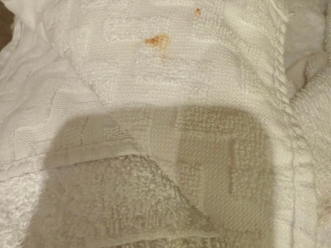 贝斯特韦斯特纽瓦克机场西酒店主图