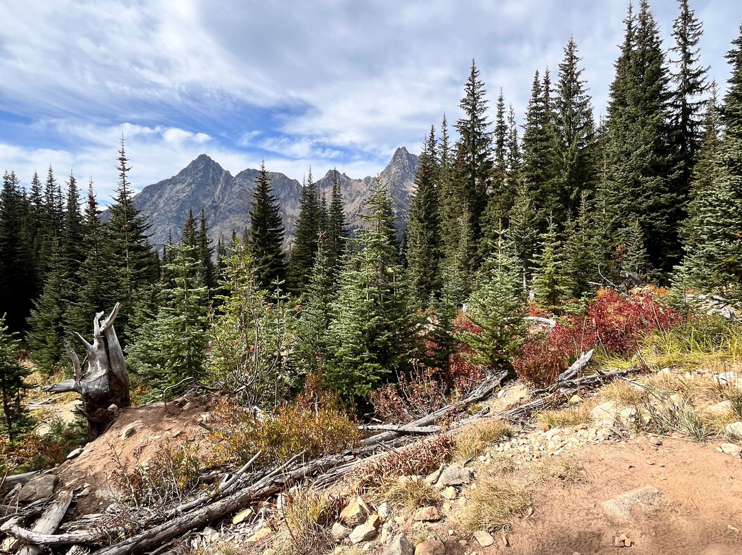 Blue Lake Trail-North Cascades National Park必去景点