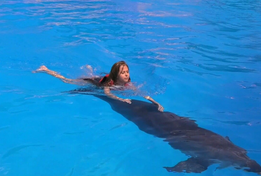 Dolphina Park-沙姆沙伊赫必去景点