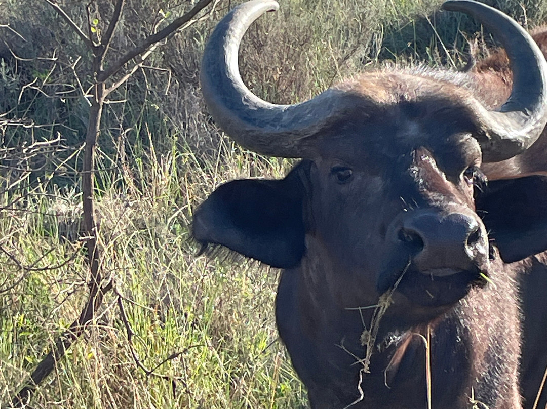 Dean Von Brughan Tours-杰米斯顿必去景点