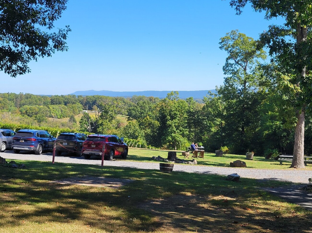 Cave Ridge Vineyard-Mount Jackson必去景点