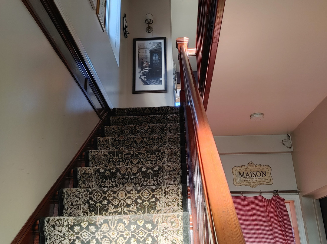 Nuits Saint-Pierre主图