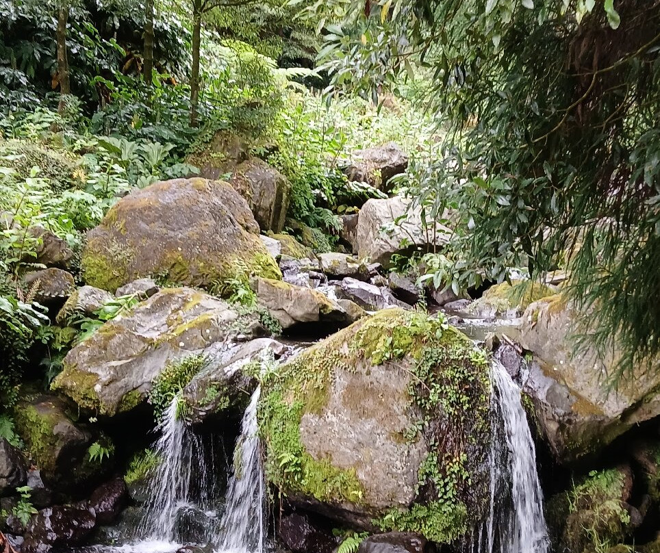 Parque da Grená-富尔纳斯必去景点