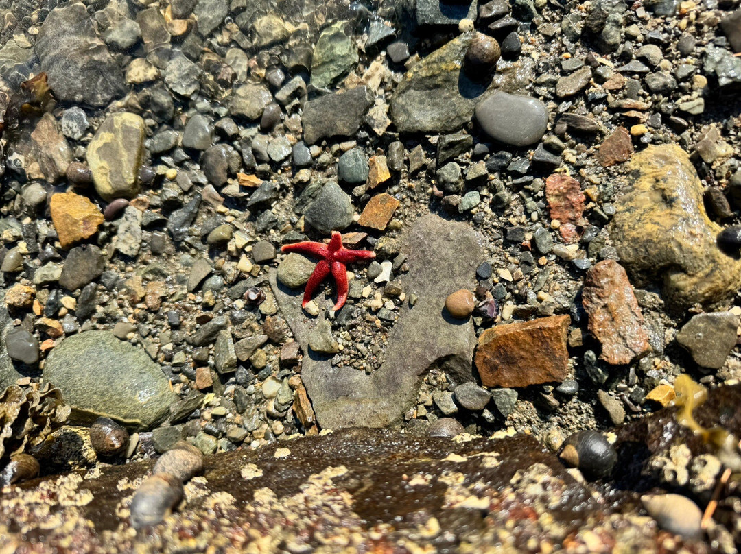 Tidal Falls Preserve-Sullivan必去景点