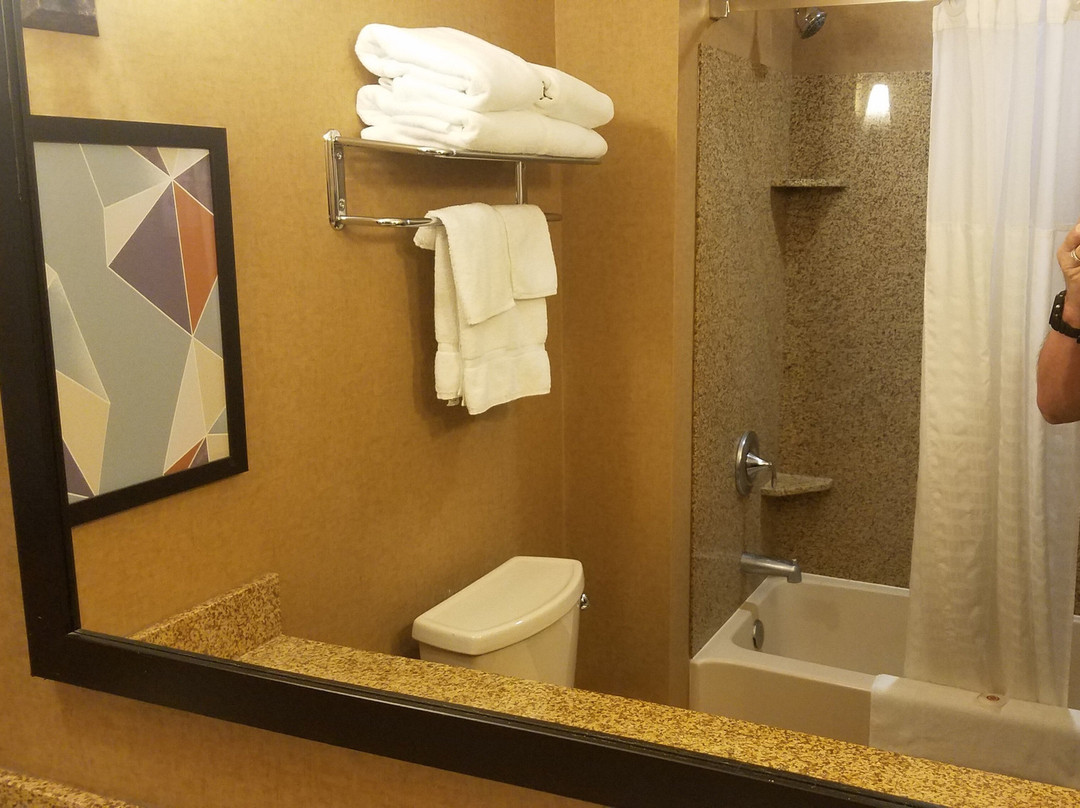 Comfort Suites Gothenburg主图