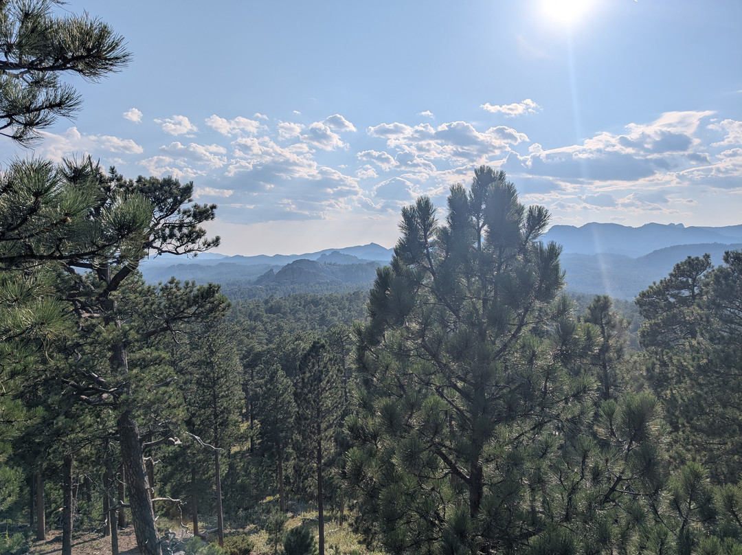 Black Hills National Forest-卡斯特必去景点