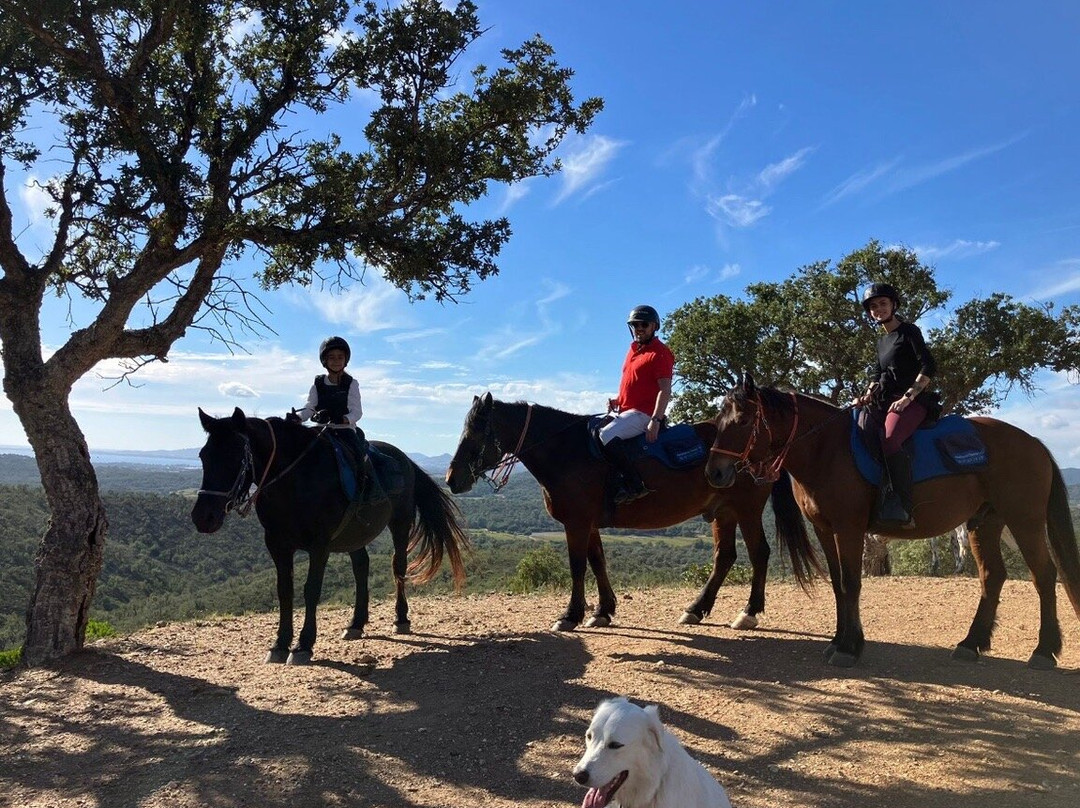 Aventure cheval. Randonnées à cheval-La Crau必去景点