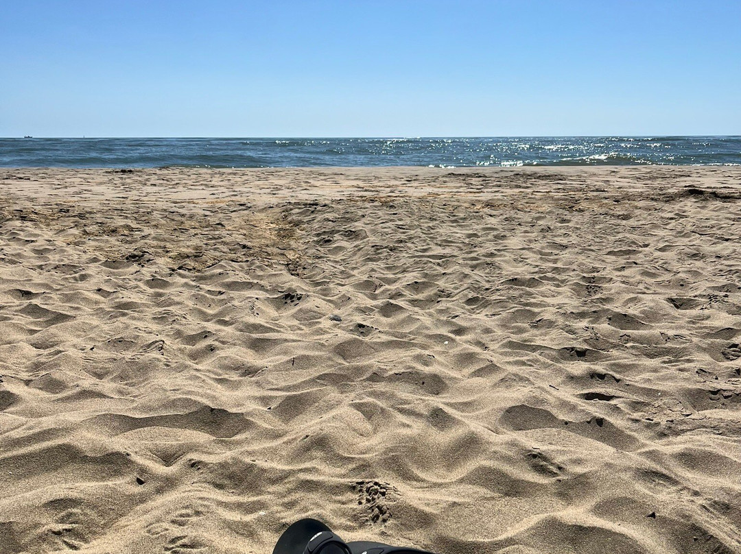 Playa De Isla Canela-Isla Canela必去景点