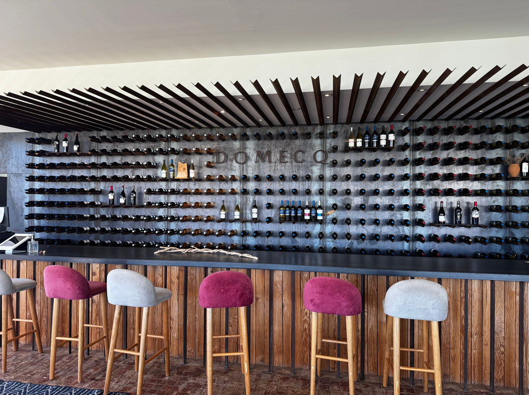 Bodegas Domecq-恩塞纳达必去景点