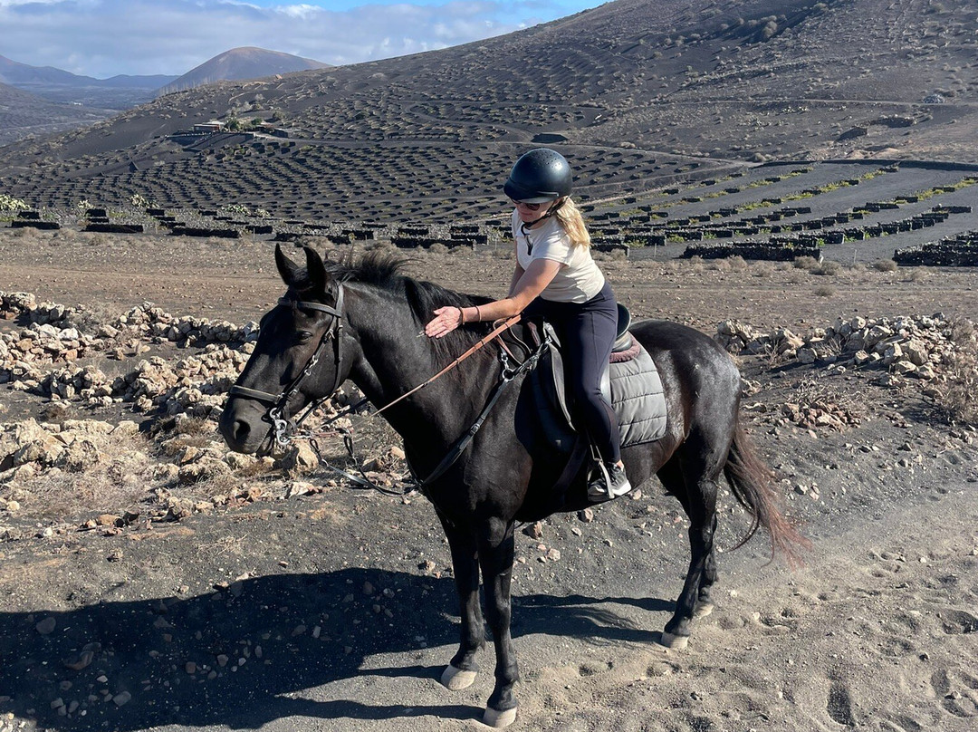 Lanzarote a Caballo-兰萨罗特必去景点