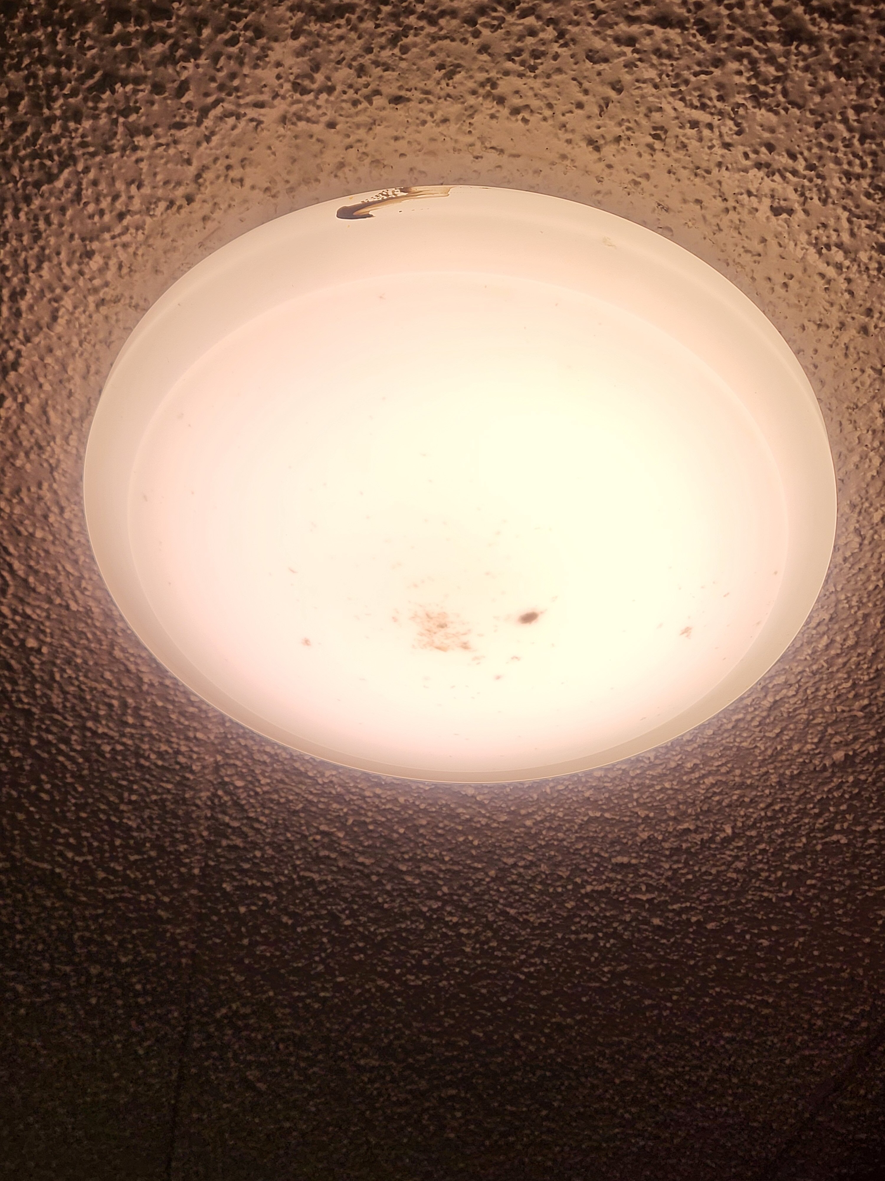 Motel 6 York, PA - North-官方