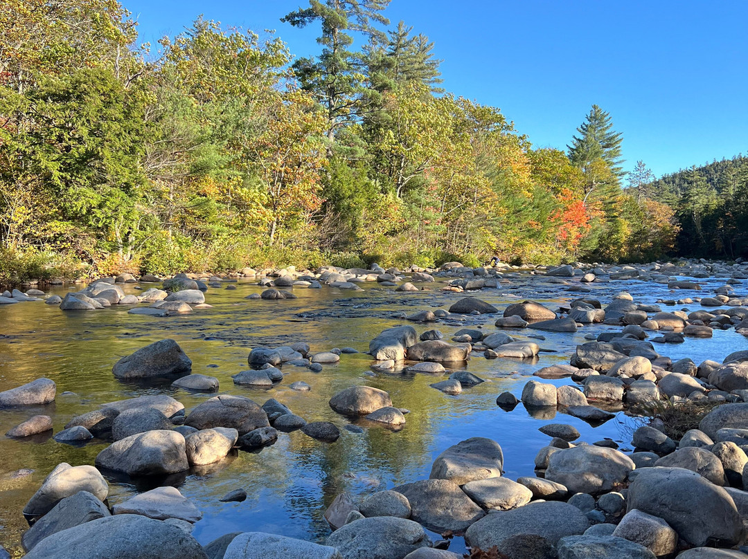 G&M Tours-Campton必去景点
