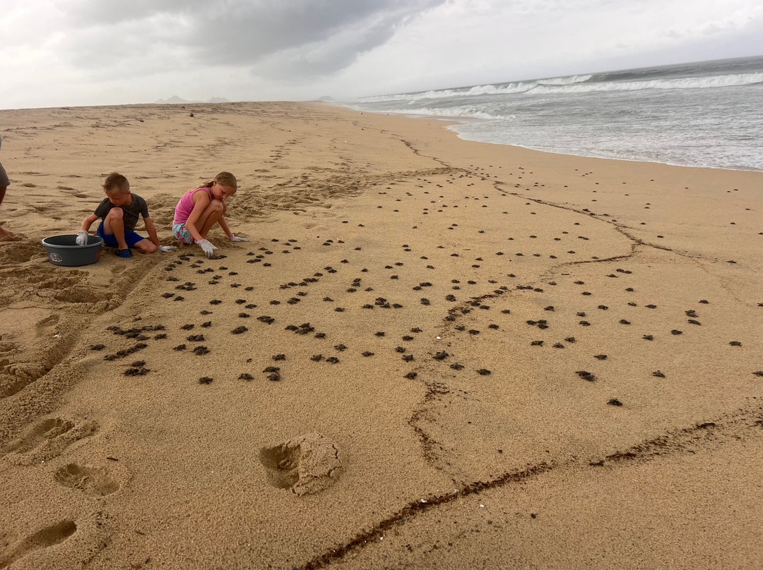 Cabo Outfitters-卡波圣卢卡斯必去景点