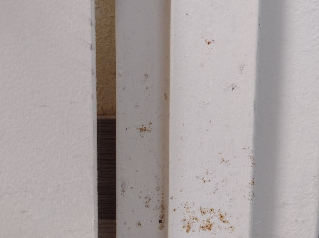 New Hope Inn & Suites主图