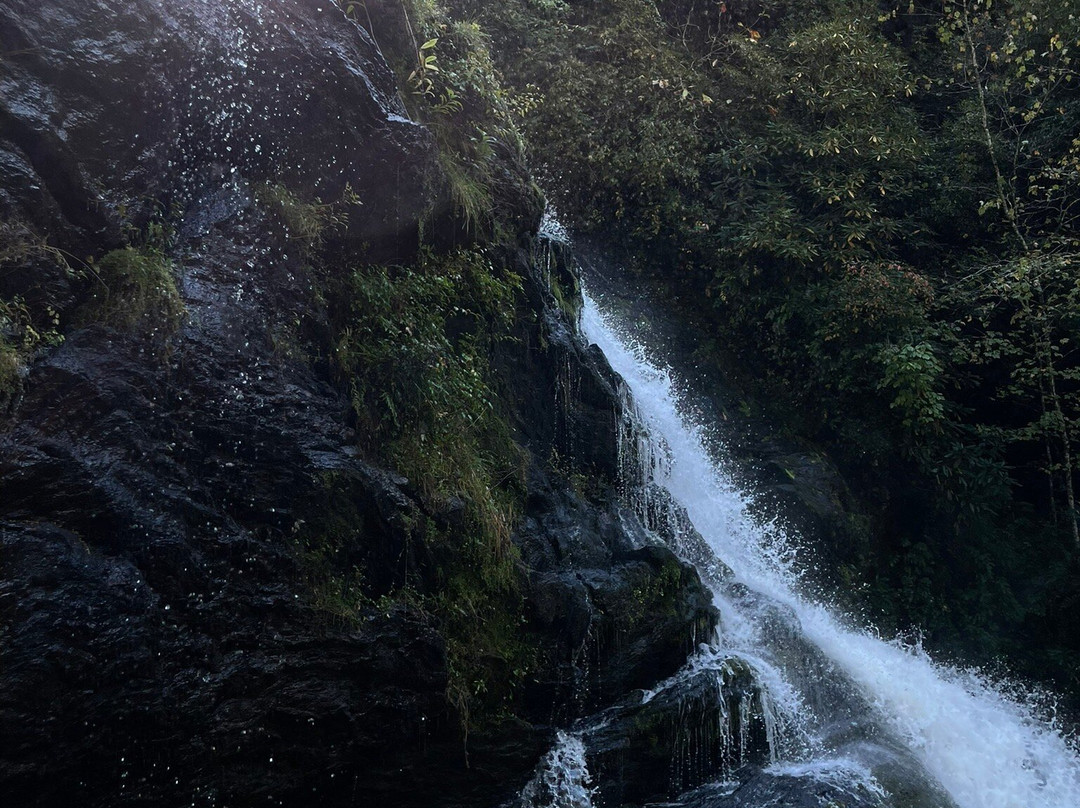 Secret Falls-海兰兹必去景点