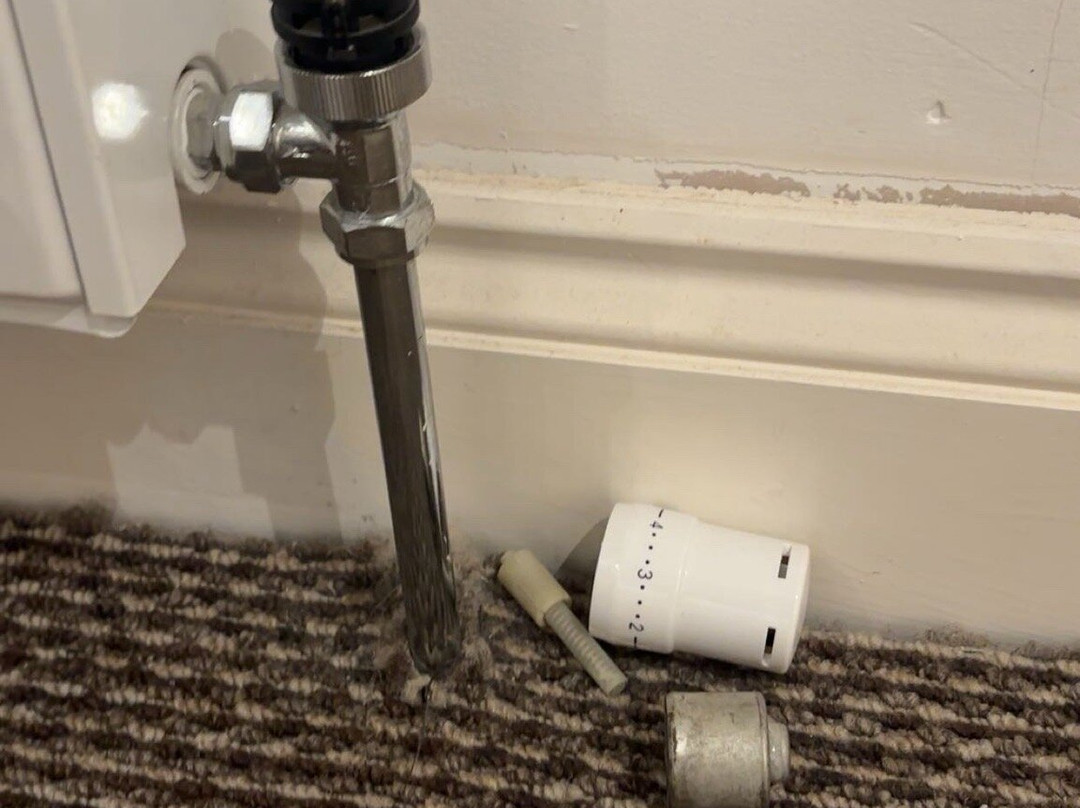 Quarrie House Guesthouse主图