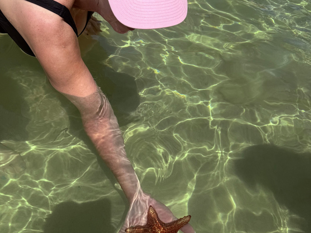 Starfish Point-大开曼岛必去景点